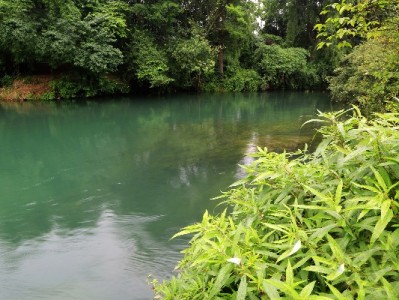 花呗合作代收通用套餐上线 富信掌柜助力小微商户高效收钱