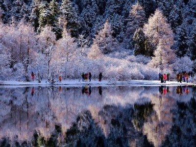 微信里能“借到花呗”吗？一文说清微信信用支付那些事