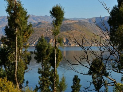 花呗2024新助手“出财小神”上线！教你聪明用贷不焦虑