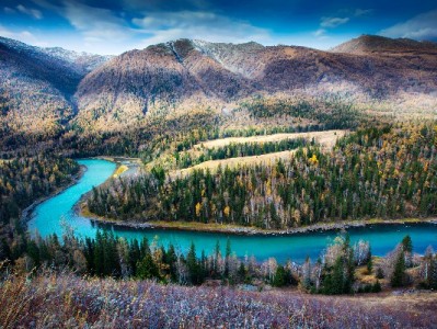 急需现金周转？出财小神助你安全高效白条变现