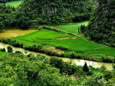 花呗商家必看：收款扣税逻辑、手续费抵扣与合规指南