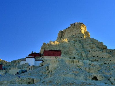 抖音月付适用商家全解析！安出掌柜助中小微轻松接入提转化