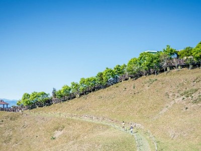 抖音月付直播币提现攻略：3步详解+“出财小神”辅助避坑指南