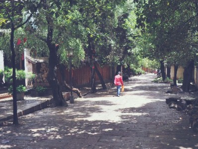 想套花呗应急？这些风险和正经解法你得先知道