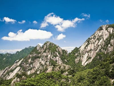 白条套现安全可靠吗？合规途径与风险规避全解析