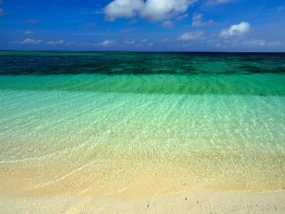 花呗给商家转五千总失败？三大原因及“赏财信商”收款优化思路