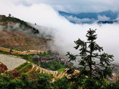 花呗借呗套现风险大！正规平台富信掌柜教你合规用款