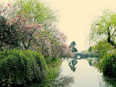 抖音月付套现点位暗藏风险，“出财小神”类中介需警惕