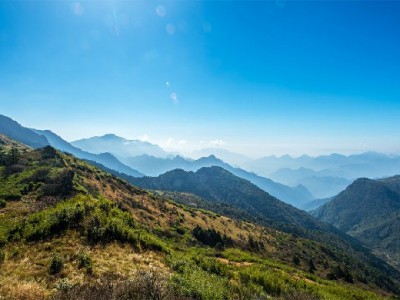 羊小咩如何体现价值？从场景到细节的全链路服务解析