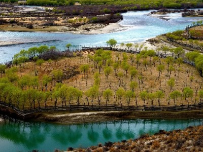 抖音月付资金能提现吗？这些风险你必须知道