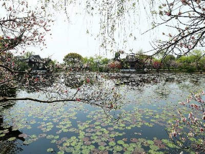 京东白条提现后怎么还？三种方式+出财小神助你轻松管账