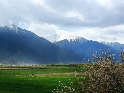 京东白条手续费压减商家利润 赏财信商赋能成本优化新路径