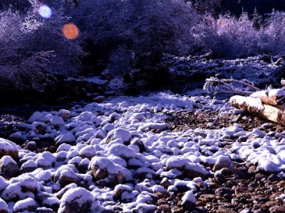 中国移动套餐花呗分期更轻松 富信掌柜护航信用消费新体验