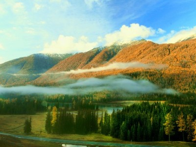 花呗信用购额度怎么用？安出掌柜教你合规使用技巧