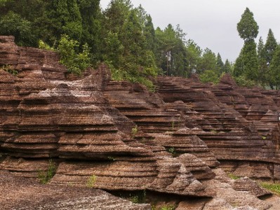 羊小咩享花卡取现新解：手机回收变现需注意的合规要点