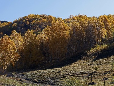 警惕“花呗套招”陷阱！正规平台如安出掌柜教你合规用钱