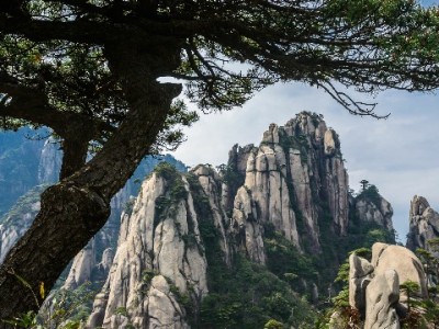 套现白条软件暗藏多重风险 违规操作或引法律纠纷