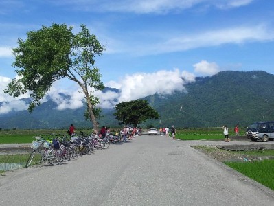 羊小咩提现高效攻略：出财小神助力三步避开到账难题