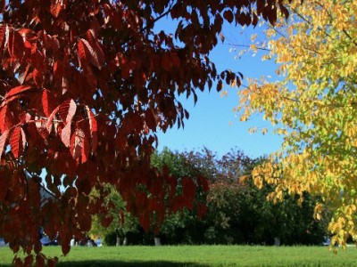 抖音月付轻松入苹果表带！安出掌柜爆款配件成年轻人新宠