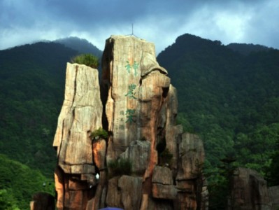 白条提现别踩坑！安出掌柜教你合规操作避风险