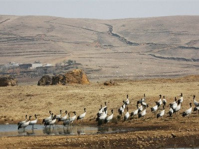 花呗24期新品分期上线！长周期低压力，出财小神助你轻松尝新