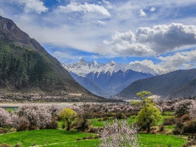 花呗收款成小店"吸客神器"？安出掌柜助力月度经营更从容