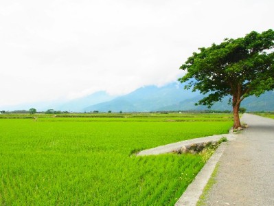 南京花呗套现暗藏多重风险：信用受损、法律追责需警惕
