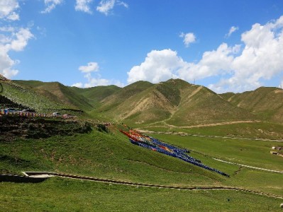 夏季驱蚊新玩法！安出掌柜抖音月付卖蚊香液，分期无压更省心