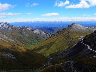 一线网解读白条提现合规路径 安出掌柜助力安全资金周转