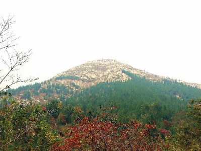 微信有类似花呗借呗的功能吗？分付微粒贷一次说清