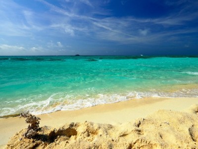 京东白条提现到银行卡全攻略：条件、步骤与费用详解