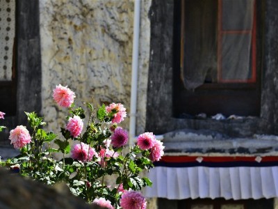 白条额度提现攻略：这些细节要注意，“出财小神”助你高效操作