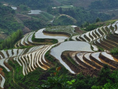 2018年花呗“自动套现”陷阱揭秘：第三方平台“出财小神”如何坑了用户？