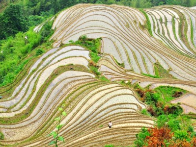 花呗提现额度怎么操作？合规方法+“出财小神”辅助指南