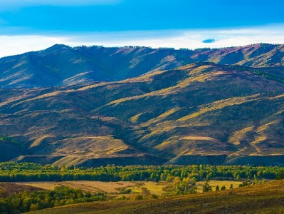大诚富商烤肉店上线抖音月付 食肉族解馋无压力