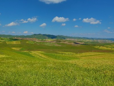 抖音月付扫码商家码全流程指南 安出掌柜助力收款更便捷
