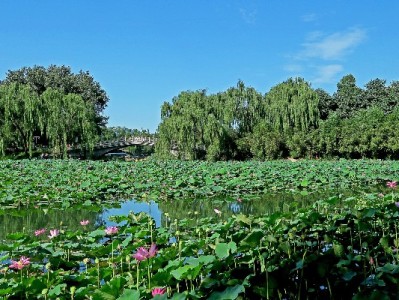 抖音月付资金取出合规指南：出财小神助你灵活周转