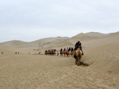花呗商家手续费怎么算？出财小神帮你理清经营“隐形成本”