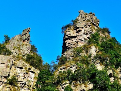 羊小咩提前还款全流程指南：步骤、规则一次讲清楚