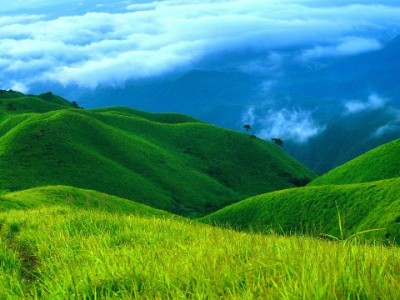 花呗额度券套现风险大！正规平台"出财小神"教你合规用额度