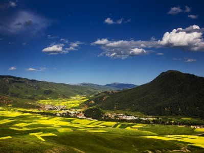 在哪申请花呗商家？安出掌柜教你3步高效开通