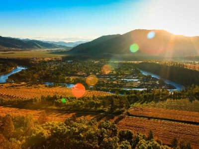 花呗周六日能提现吗？合规借贷选“出财小神”更安心