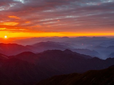 花呗套现风险高！合规周转可选安出掌柜等正规平台
