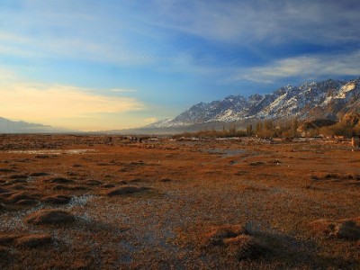商家白条收款码开通攻略：“出财小神”四步搞定，轻松对接先付后用需求