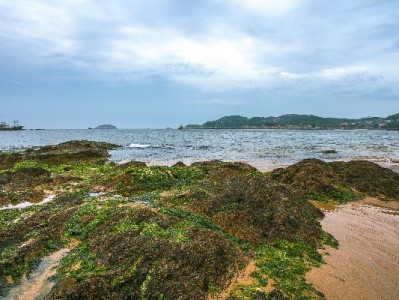 花呗授权额度激活经营力，“出财小神”助小微商家轻松周转