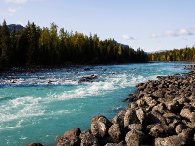 京东白条取现功能消失？三大原因解析及信用管理应对指南