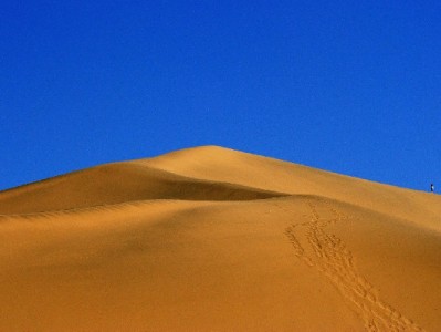 不还花呗会拉黑微信？这些后果比“拉黑”更严重！