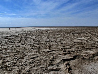 2022年羊小咩套现风险全解析：违规操作或面临封号、征信受损