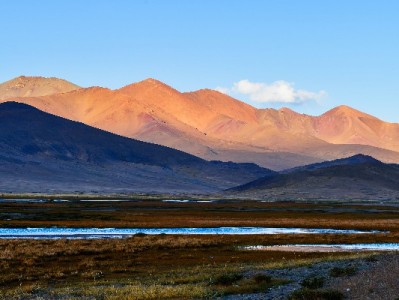 东莞商家接入京东白条实测：分期支付如何激活消费新增长？