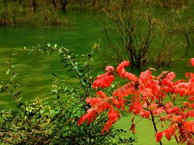 警惕！花呗套用暗藏多重风险，这些后果你必须知道